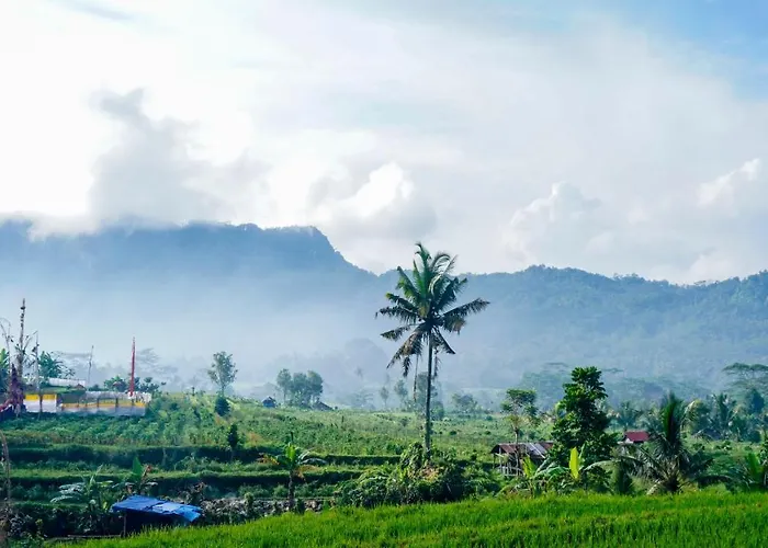 Ume Dukuh Sidemen (Bali)
