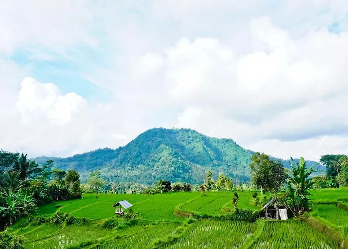 Lodge Ume Dukuh Sidemen (Bali)