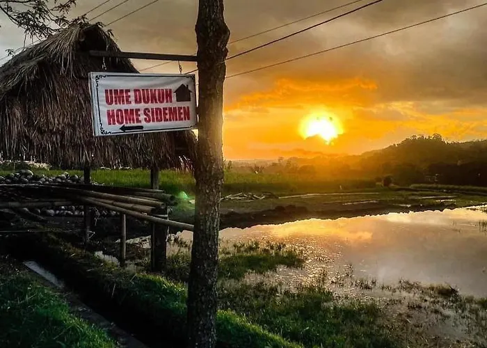 Ume Dukuh Sidemen (Bali)