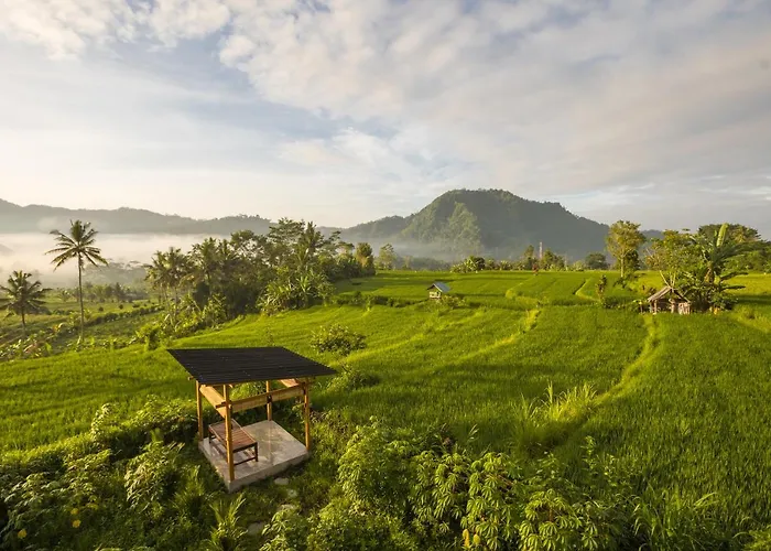 Ume Dukuh Sidemen (Bali)