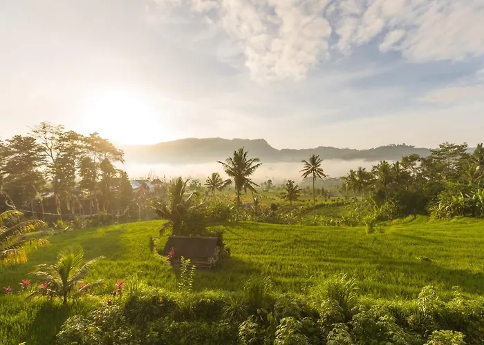 Lodge Ume Dukuh Sidemen (Bali)