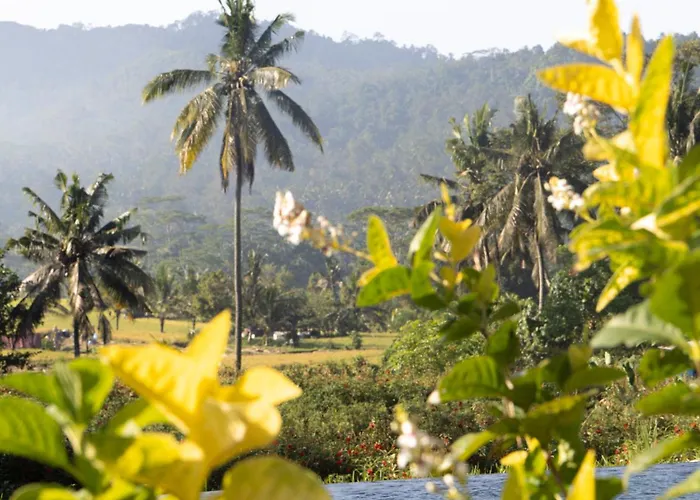 Ume Dukuh Lodge Sidemen (Bali)
